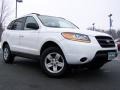 2009 Powder White Pearl Hyundai Santa Fe GLS  photo #1