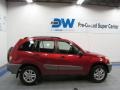 Impulse Red - RAV4  Photo No. 6