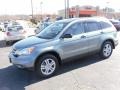 2010 Opal Sage Metallic Honda CR-V EX  photo #1