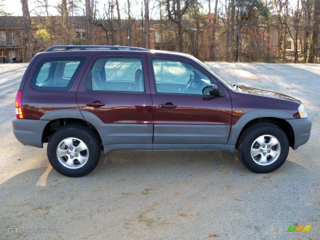 2001 Tribute DX V6 - Chestnut Metallic / Beige photo #11