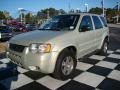 2004 Gold Ash Metallic Ford Escape Limited 4WD  photo #3