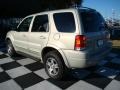 2004 Gold Ash Metallic Ford Escape Limited 4WD  photo #9