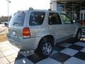 2004 Gold Ash Metallic Ford Escape Limited 4WD  photo #10