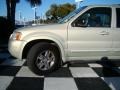2004 Gold Ash Metallic Ford Escape Limited 4WD  photo #34