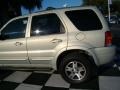 2004 Gold Ash Metallic Ford Escape Limited 4WD  photo #35