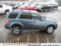 2010 Steel Blue Metallic Ford Escape Limited V6 4WD  photo #5