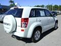 White Water Pearl - Grand Vitara  Photo No. 38