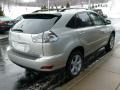 Millennium Silver Metallic - RX 350 AWD Photo No. 5