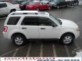 2009 White Suede Ford Escape XLT V6 4WD  photo #5