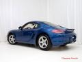 2010 Aqua Blue Metallic Porsche Cayman   photo #7