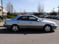 Millennium Silver Metallic - ES 300 Sedan Photo No. 2