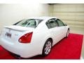 Winter Frost Pearl - Maxima 3.5 SE Photo No. 6