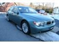 2004 Slate Green Metallic BMW 7 Series 745i Sedan  photo #8