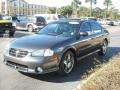 Gray Lustre Metallic - Maxima SE Photo No. 7