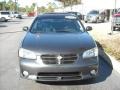 2001 Gray Lustre Metallic Nissan Maxima SE  photo #8