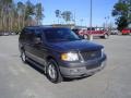 2003 Dark Shadow Grey Metallic Ford Expedition XLT 4x4  photo #3