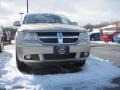 2010 White Gold Dodge Journey SXT  photo #2