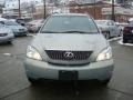 Bamboo Green Pearl - RX 350 AWD Photo No. 6