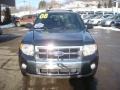 2008 Black Pearl Slate Metallic Ford Escape Limited 4WD  photo #10