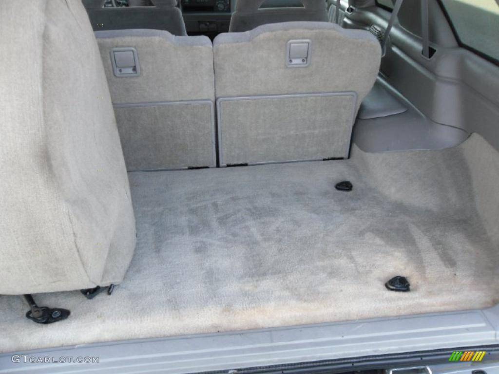 1995 Blazer LS - Dove Gray Metallic / Gray photo #11