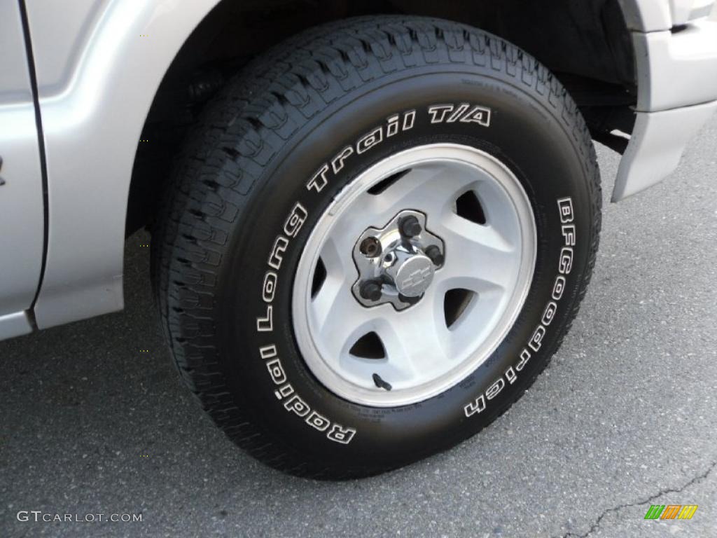 1995 Blazer LS - Dove Gray Metallic / Gray photo #15