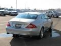 Iridium Silver Metallic - CLS 500 Photo No. 4