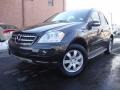 Black - ML 350 4Matic Photo No. 1