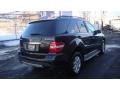 Black - ML 350 4Matic Photo No. 4