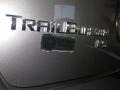 Graystone Metallic - TrailBlazer LT 4x4 Photo No. 10