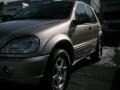 Desert Silver Metallic - ML 320 4Matic Photo No. 2