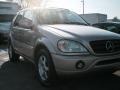 Desert Silver Metallic - ML 320 4Matic Photo No. 3