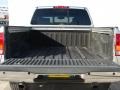 Radiant Silver - Titan LE King Cab Photo No. 9