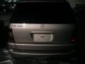 Desert Silver Metallic - ML 320 4Matic Photo No. 5