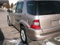 Desert Silver Metallic - ML 320 4Matic Photo No. 6