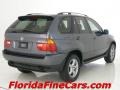 Steel Grey Metallic - X5 3.0i Photo No. 2