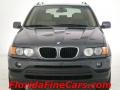 Steel Grey Metallic - X5 3.0i Photo No. 5