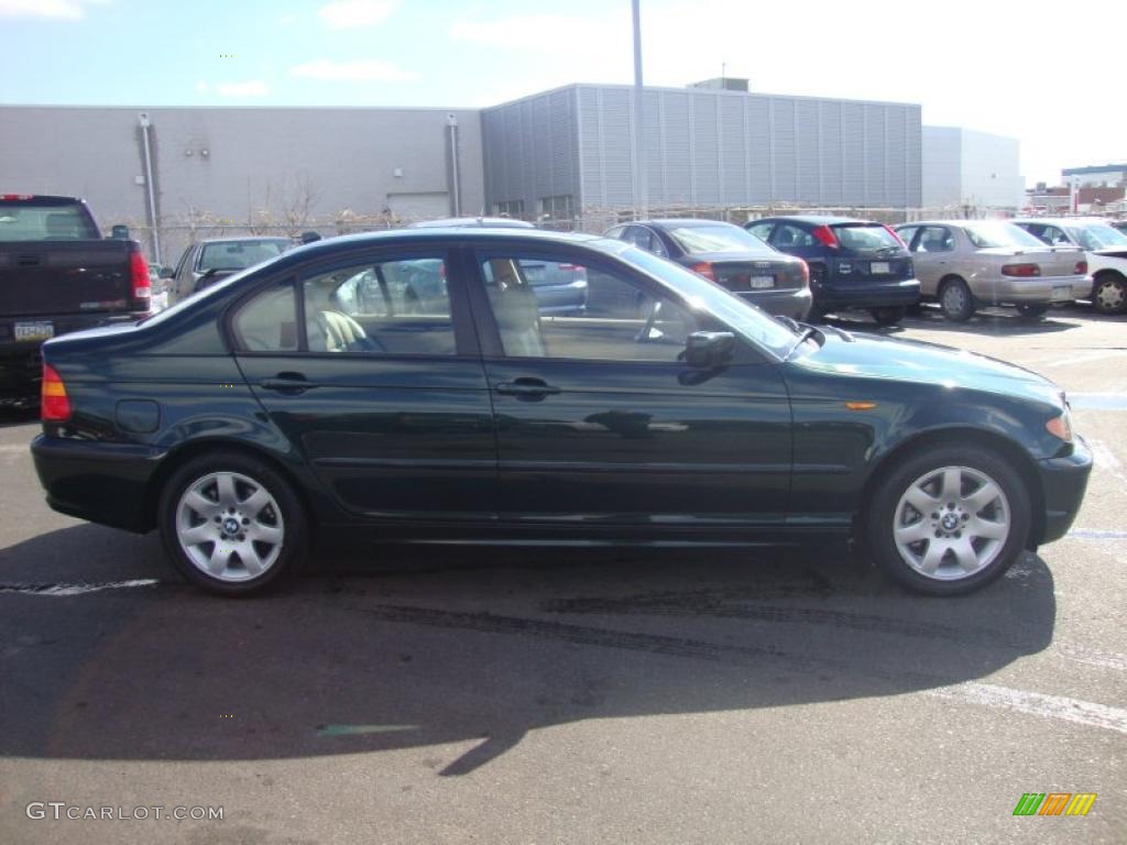 2004 3 Series 325i Sedan - Oxford Green Metallic / Sand photo #6