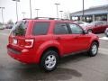 2009 Sangria Red Metallic Ford Escape XLT V6 4WD  photo #6