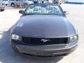 Alloy Metallic - Mustang V6 Premium Convertible Photo No. 6