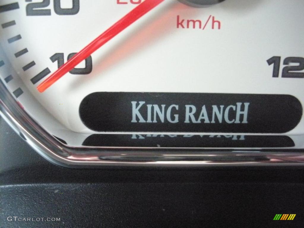 2005 F150 King Ranch SuperCrew 4x4 - Dark Stone Metallic / Castano Brown Leather photo #19