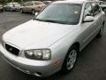 Silver Pewter - Elantra GLS Sedan Photo No. 13