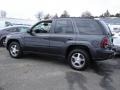 2007 Graphite Metallic Chevrolet TrailBlazer LS 4x4  photo #9