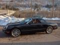 Evening Black - Thunderbird Premium Roadster Photo No. 4
