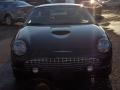 Evening Black - Thunderbird Premium Roadster Photo No. 17