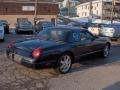 2003 Evening Black Ford Thunderbird Premium Roadster  photo #18