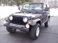 1999 Black Jeep Wrangler Sport 4x4  photo #11