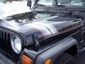 1999 Black Jeep Wrangler Sport 4x4  photo #14