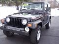 Black - Wrangler Sport 4x4 Photo No. 32