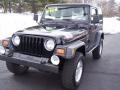 1999 Black Jeep Wrangler Sport 4x4  photo #32