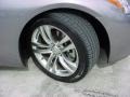 Platinum Graphite Gray - G 37 Coupe Photo No. 18
